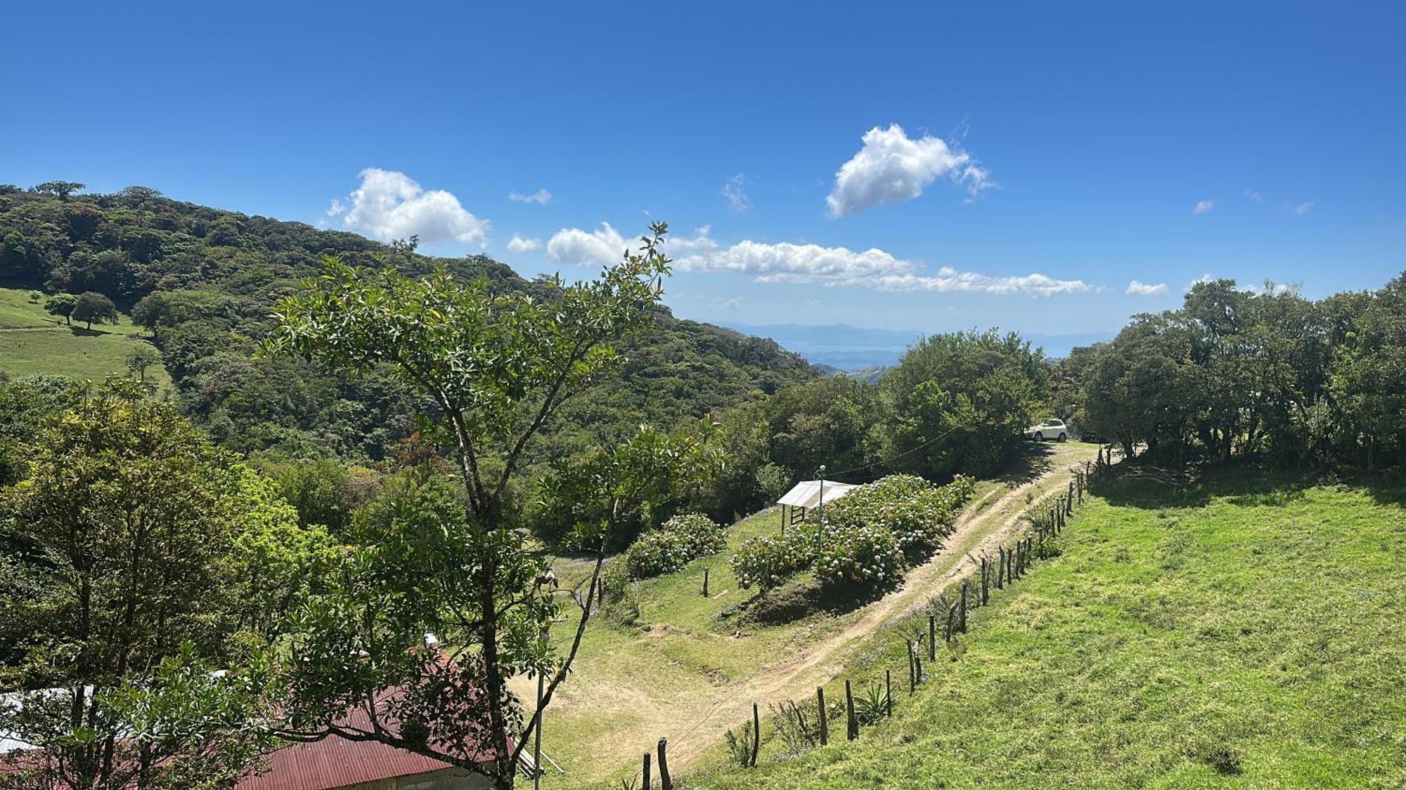 Dadirri House Minicasa Santa Elena Monteverde Kültér fotó